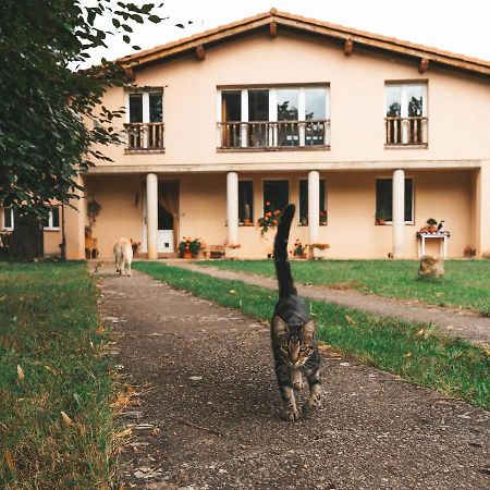 Casa De Campo La Solana Estollo Dış mekan fotoğraf