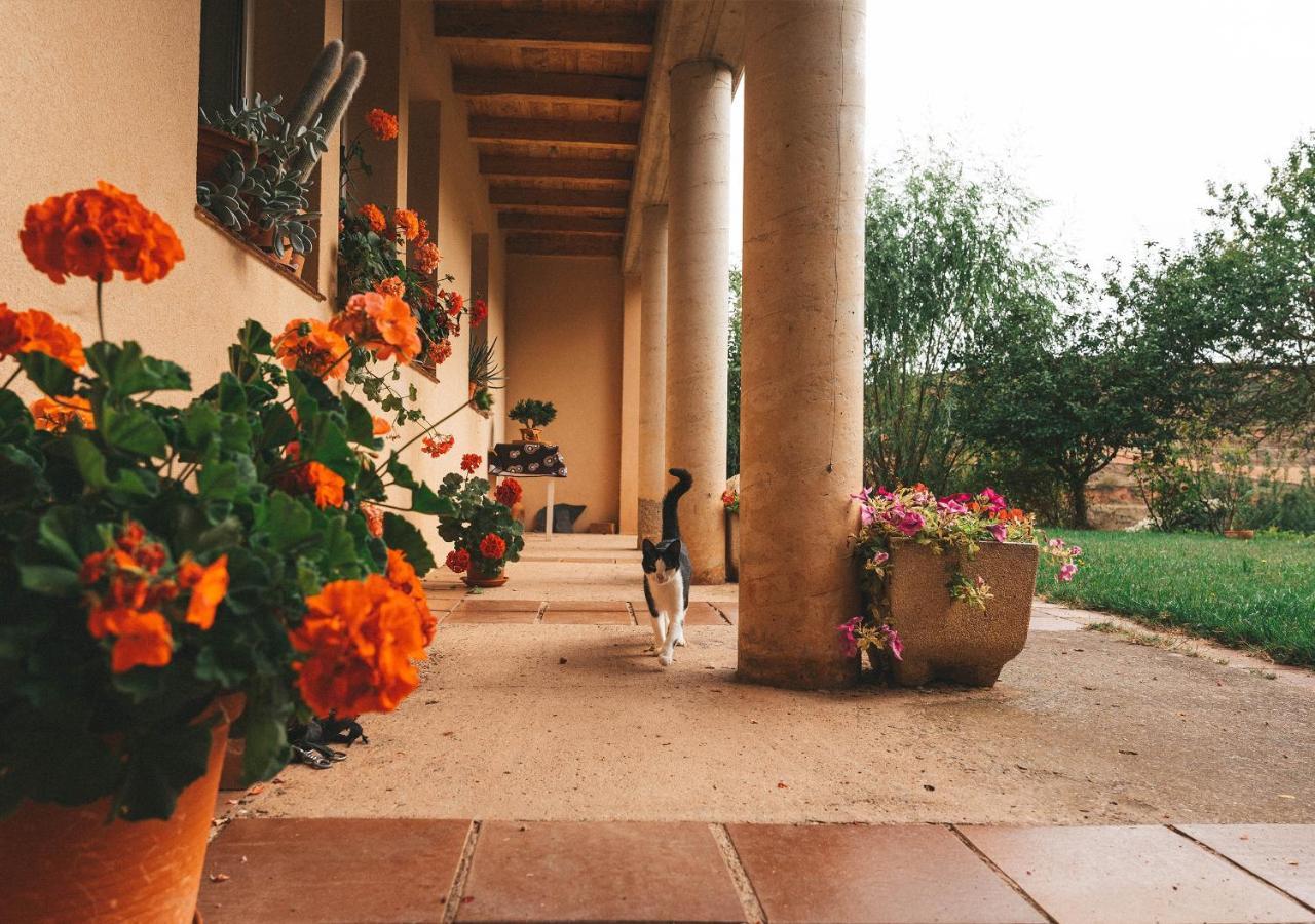 Casa De Campo La Solana Estollo Dış mekan fotoğraf